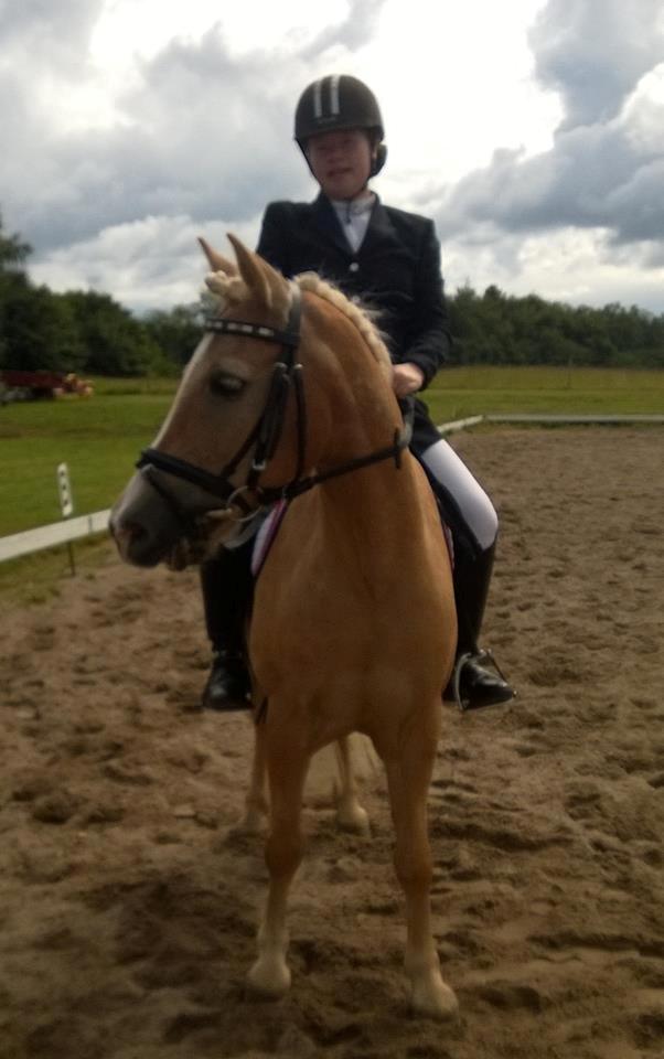 Anden særlig race timon billede 13