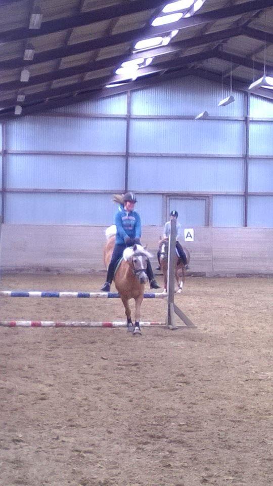 Anden særlig race timon billede 16