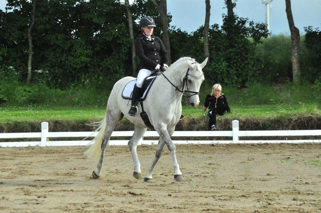 DSP Remember Me Af Sandager billede 12