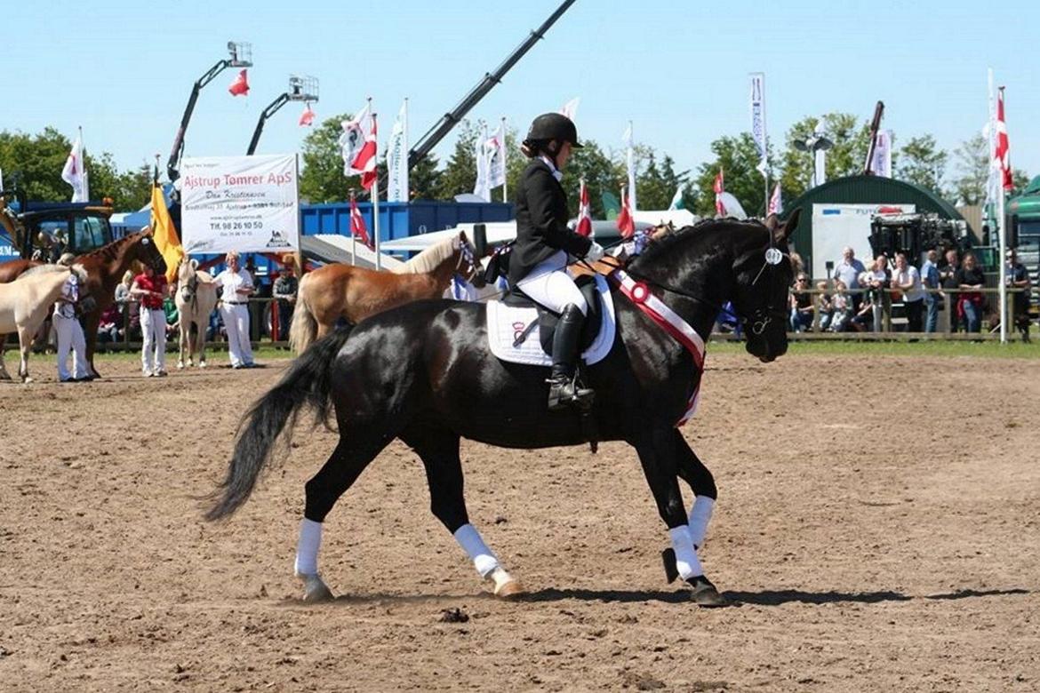 Oldenborg Tulle Engholm billede 5