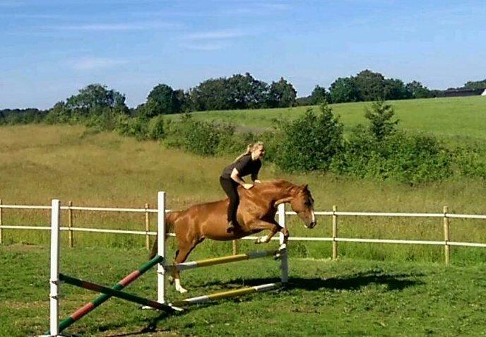 Anden særlig race † Tess † billede 17