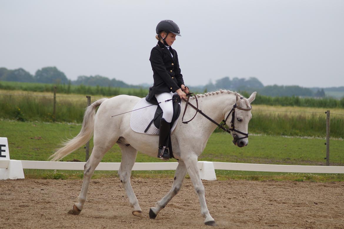 Anden særlig race Michilin - Anne og Michi til stævne på Eriksholt <3 billede 7