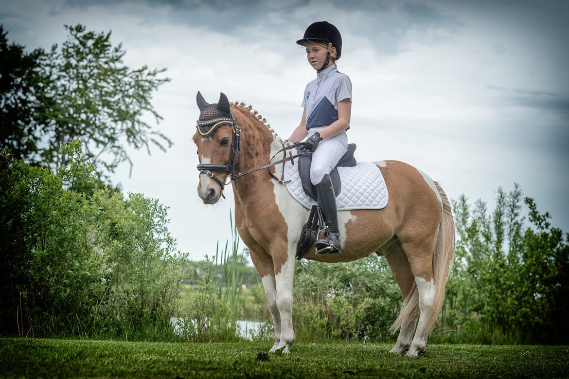 Anden særlig race Viktor UDLÅNT billede 9