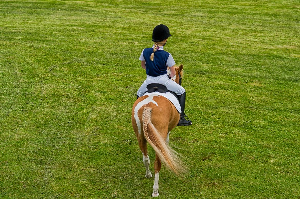 Anden særlig race Viktor UDLÅNT billede 11