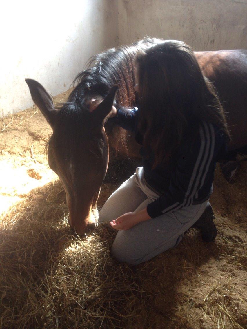 Traver Stanley Fairway. billede 5