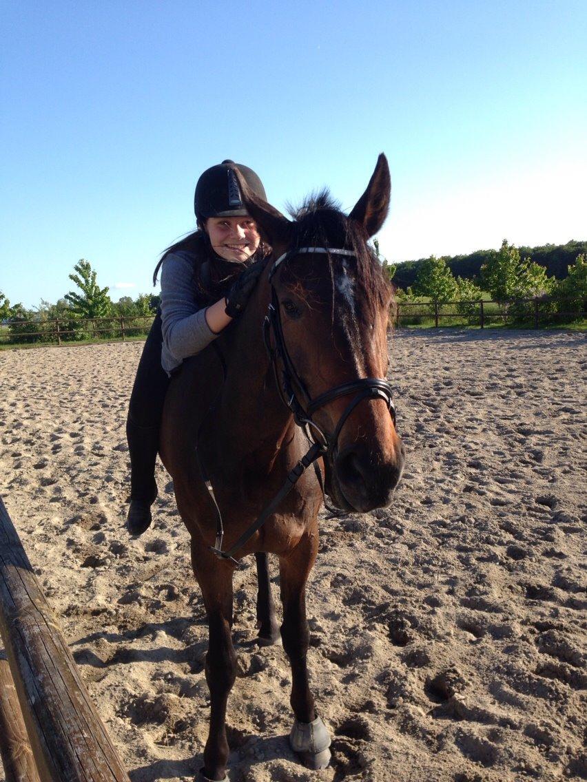 Traver Stanley Fairway. billede 6