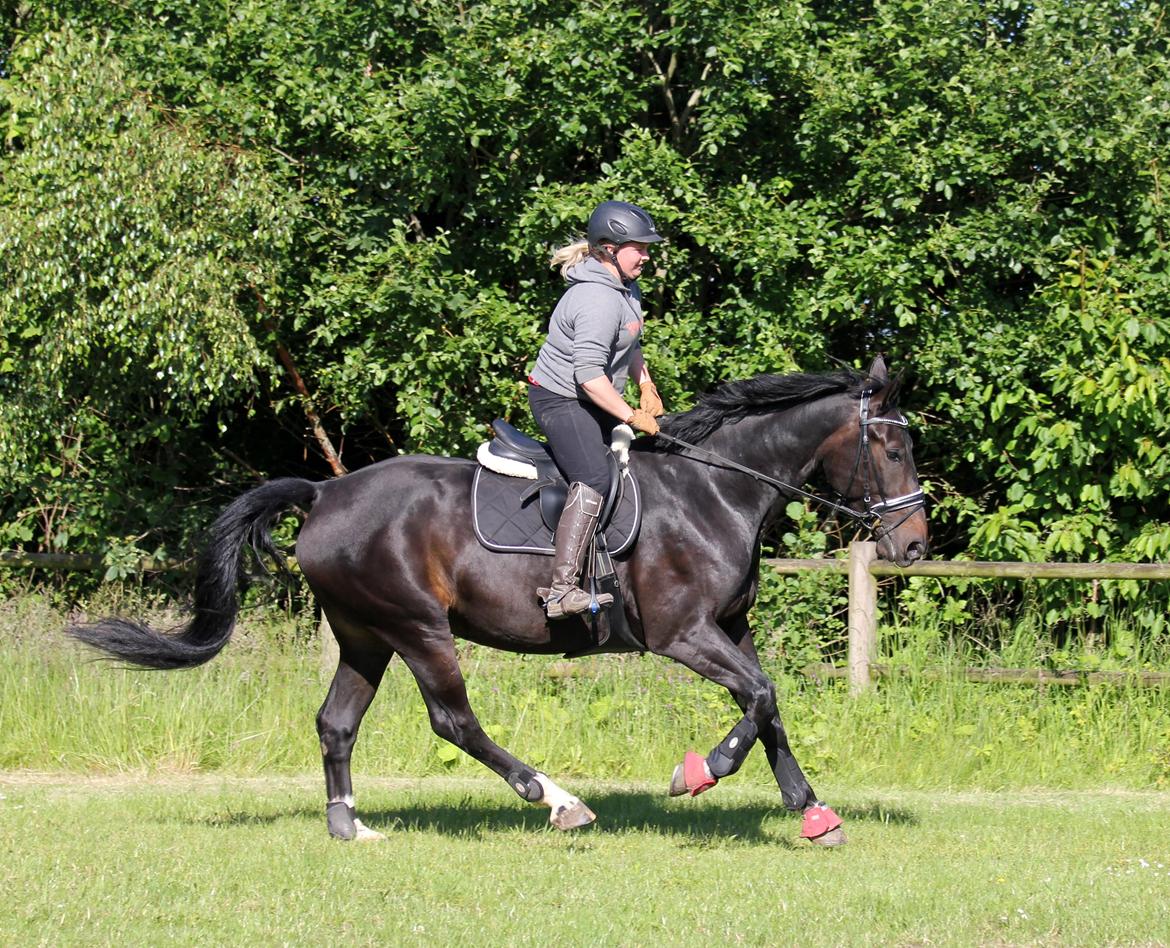 Oldenborg Marina billede 36