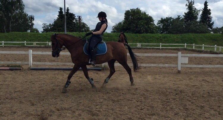 Anden særlig race Rubin [Babyhesten] - Ingen hest er som dig -Unik, Speciel & 100% sig selv!❤️ billede 2