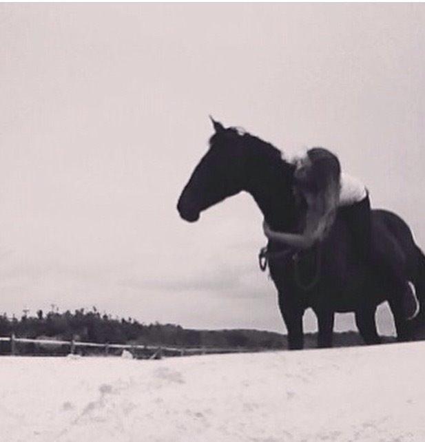 Anden særlig race Leeza Lou  - jeg havde aldrig nogen sinde i mit liv troden at et dyr kunne betyde så meget som leeza hun gør<3 en hest er ikke bare en hest det er en ven for livet som man elsker <3 jeg elsker ivert til fald leeza<3 jeg kunne ikke ønske mig en bedre hest❤️ billede 10