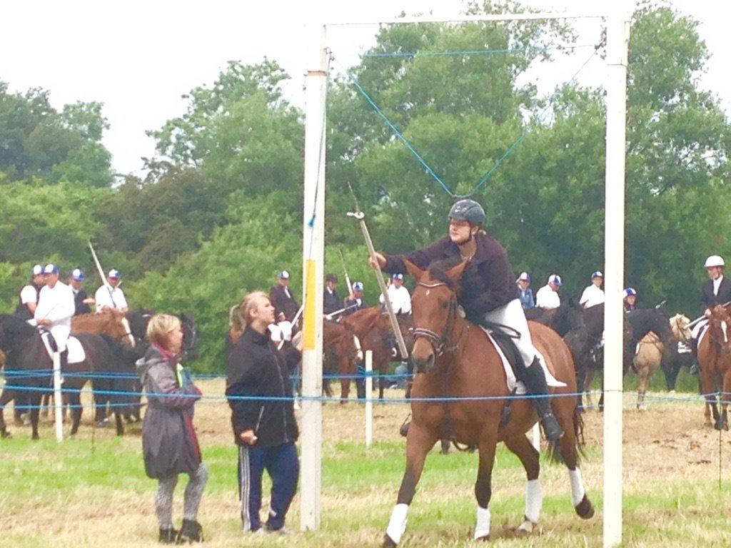 Anden særlig race *L*A*I*K*A* billede 19