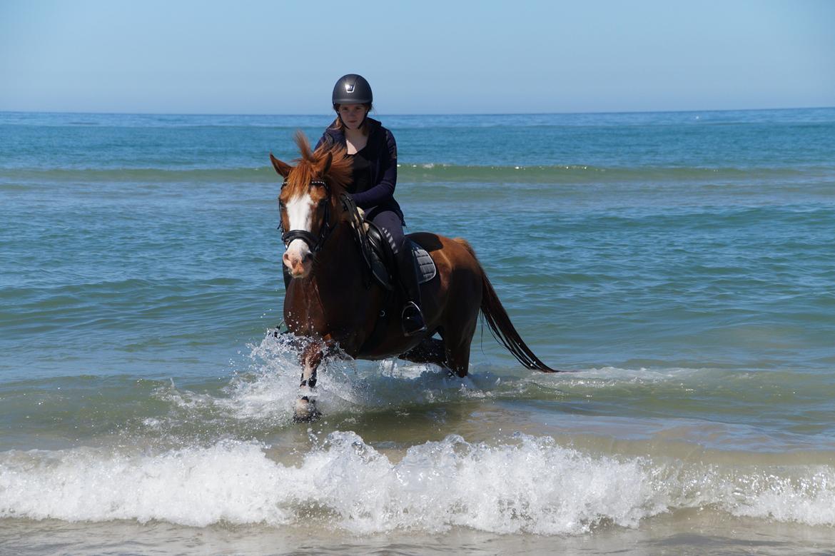 DSP Flicha - Ridelejr 2015 billede 13