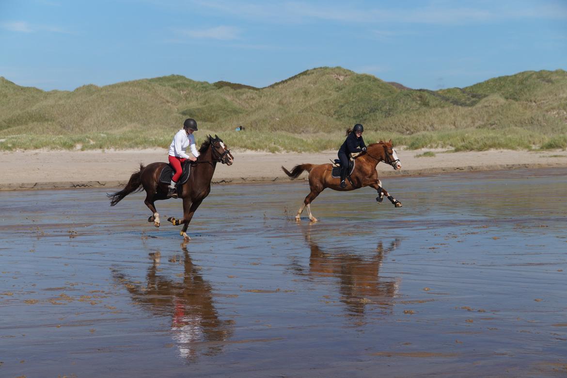 DSP Flicha - Ridelejr 2015 billede 12