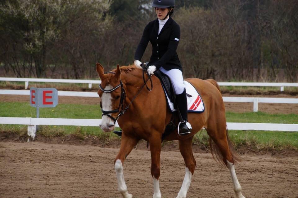 DSP Flicha - Første dressurstævne sammen, NØRK billede 17