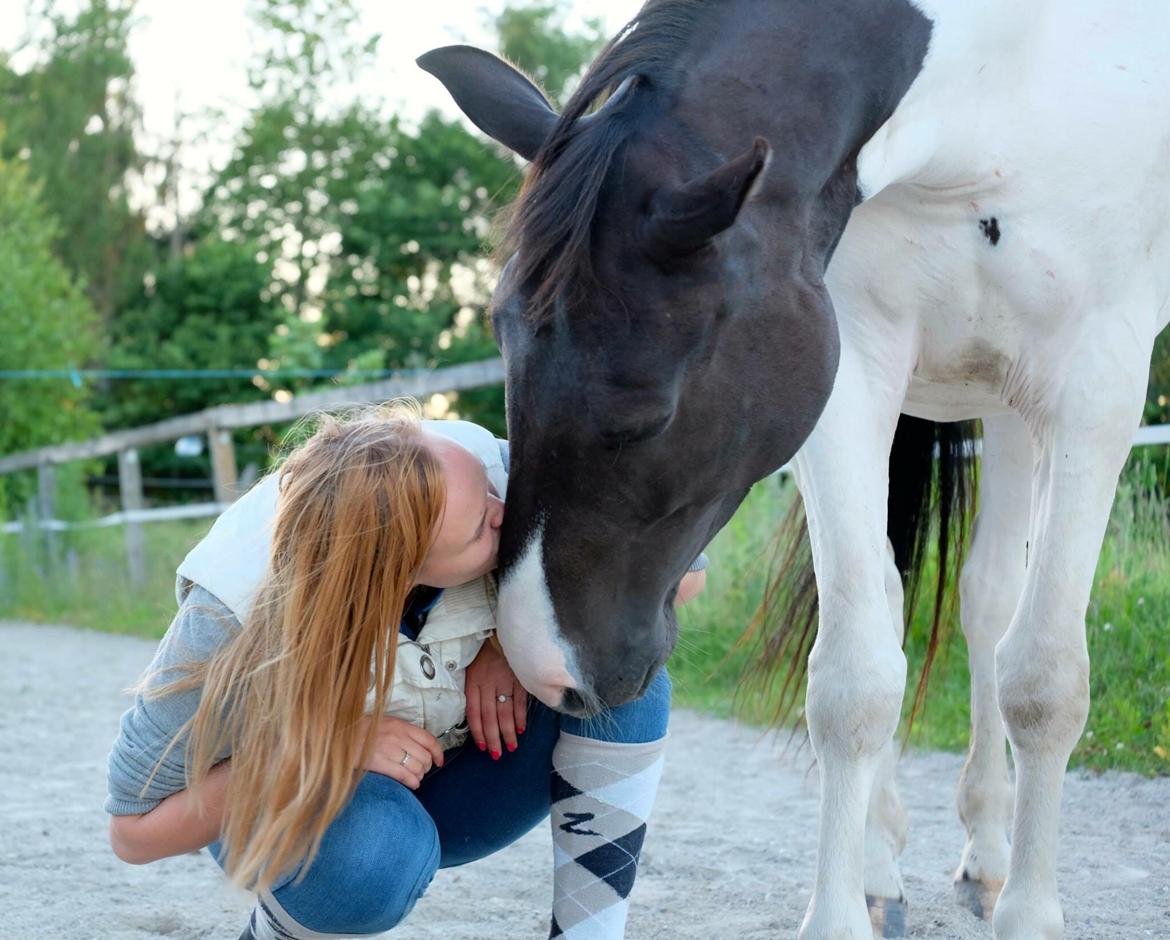 Anden særlig race • Kohesten Joey billede 10