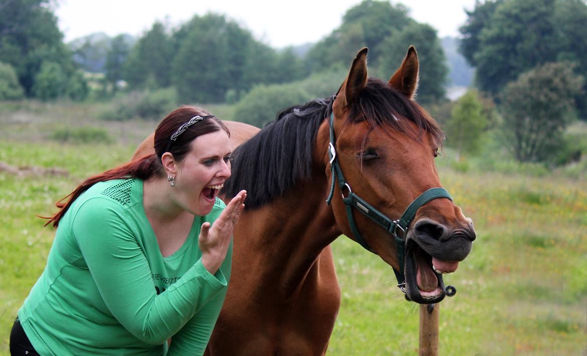 Dansk Varmblod Angel of music (SOLGT) *For evigt elsket <3* - NYT: Angel lærer at gabe på kommando :D billede 15