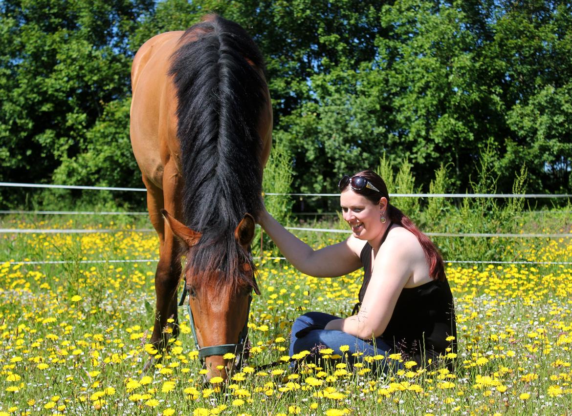 Dansk Varmblod Angel of music (SOLGT) *For evigt elsket <3* - NYT: Sommer med Angel :) billede 14