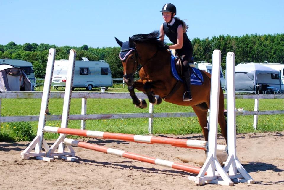 DSP Kenobi - Spring 2015! Taget af RBH-foto billede 15