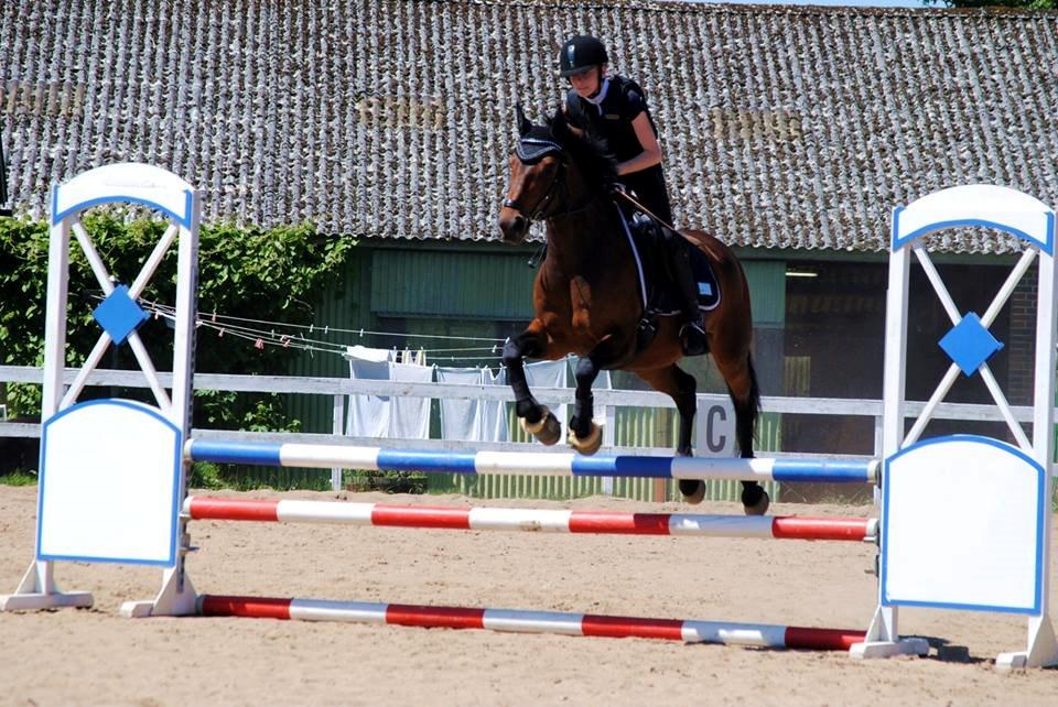 DSP Ellen - Første gang vi springer 80 som bane! FOTO: Rikke Bech Hansen billede 8