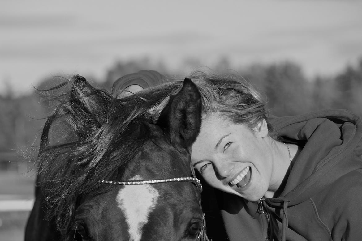 Dansk Varmblod Don poséidon F.J. - 27/5 -2015    love u! billede 10