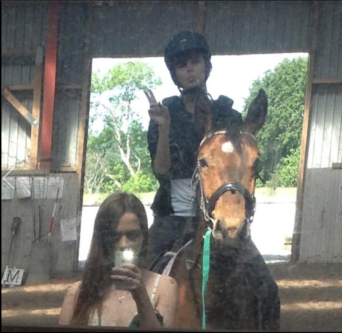 Oldenborg Østerkroens Scharon billede 13