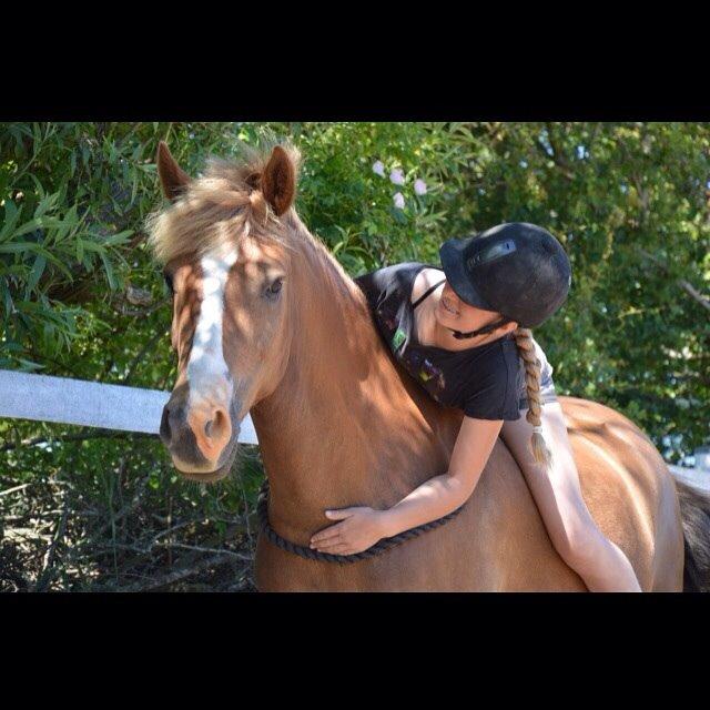 New Forest ADORER ARCHIBAL billede 9