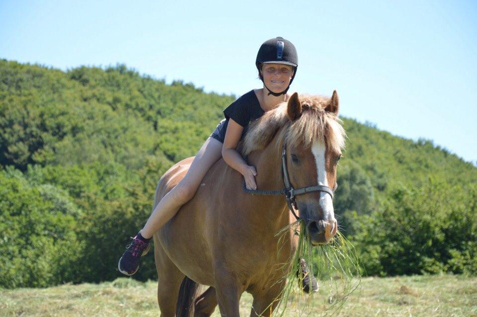 New Forest ADORER ARCHIBAL billede 10