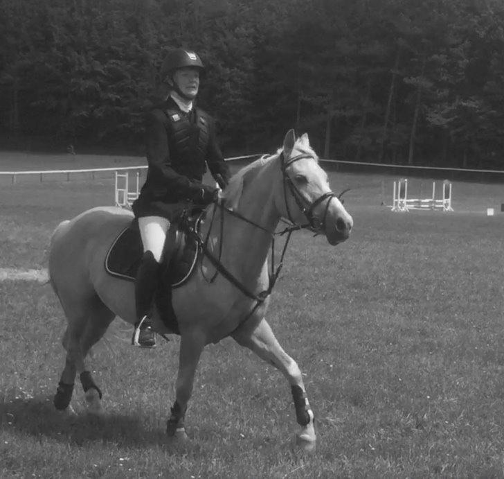 Palomino Asterix - Morsø <3333 billede 14