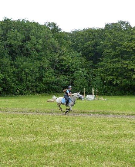 Anden særlig race Marcus billede 5