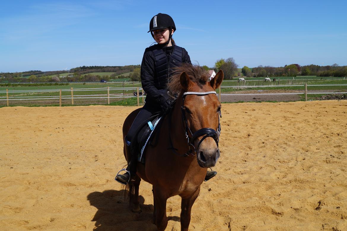 Anden særlig race Diamond Boy (Boy) - mit et og alt<3 billede 3