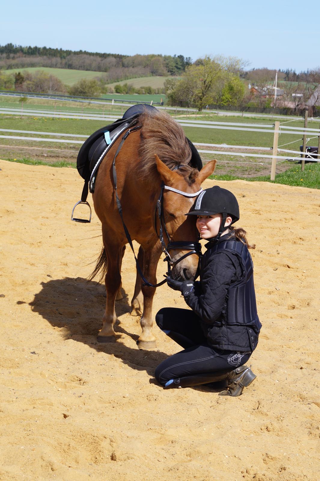 Anden særlig race Diamond Boy (Boy) - min stjerne<3 billede 8