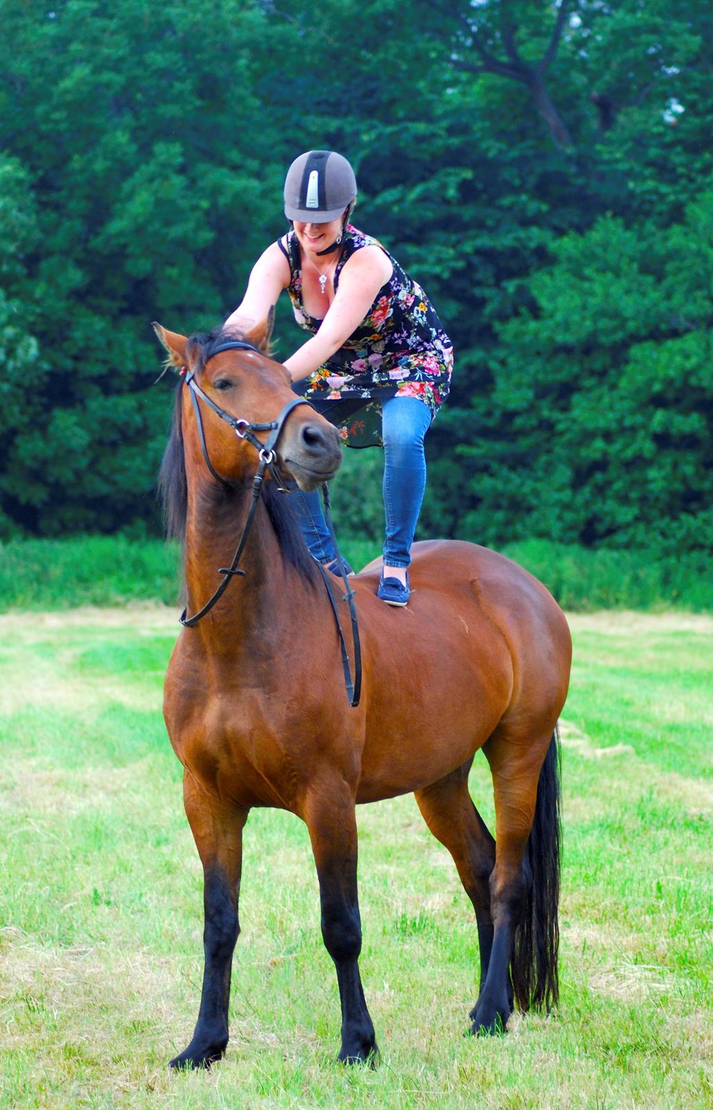 Anden særlig race Mr. Moonwalk | Himmelhest - En hyggestund. Foto: Mikela Emdal Thomsen billede 8