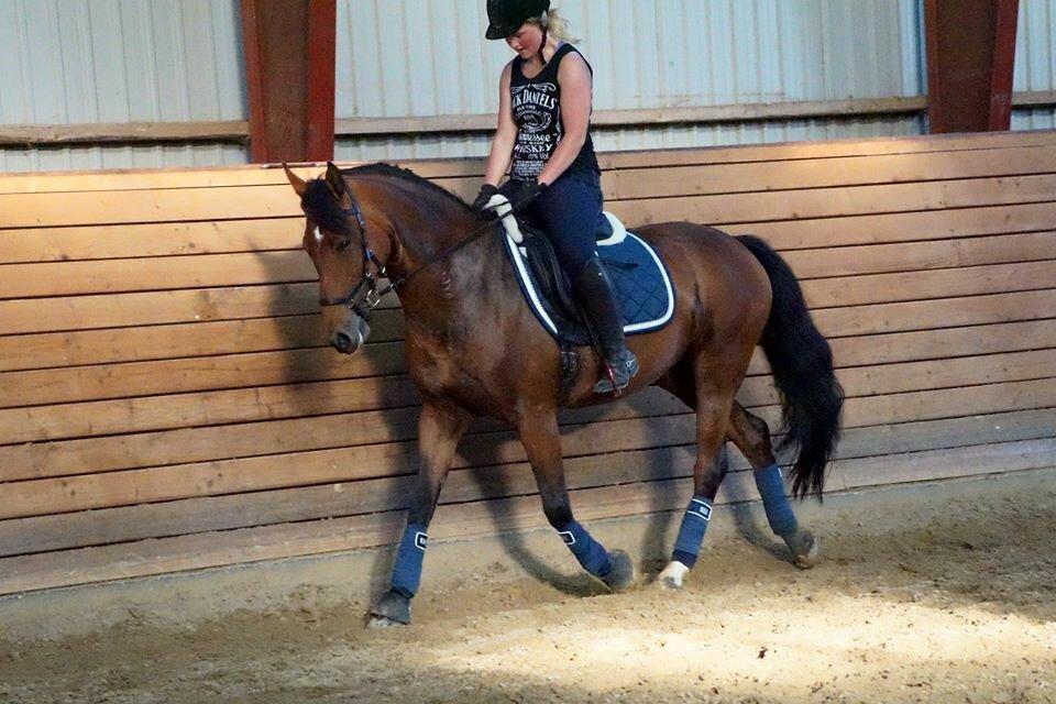 DSP Shamrocks Massa E. Cozzile  - Massa og hendes ejer, Signe. billede 14