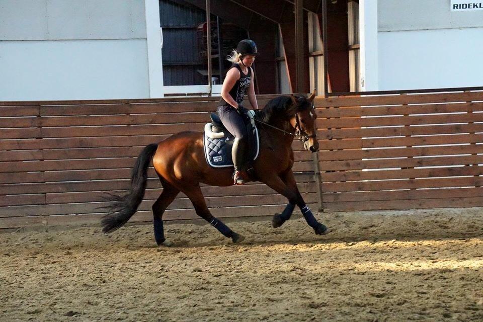 DSP Shamrocks Massa E. Cozzile  - Massa og hendes ejer, Signe. billede 15