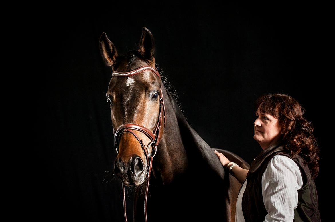 Dansk Varmblod Landino - foto shoot, sommer 2015 billede 5
