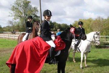 Welsh Pony af Cob-type (sec C) Dorthealyst Socks billede 19