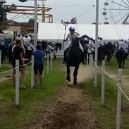 Anden særlig race Cavanna 