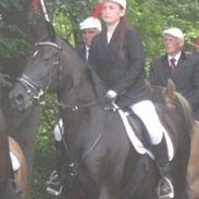 Anden særlig race Cavanna 