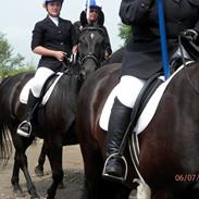 Anden særlig race Cavanna 