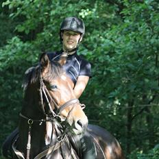 Tysk Varmblod Converta