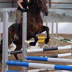 Oldenborg Maks af hejring