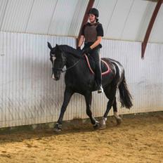 Oldenborg Gaya Hedegaard