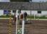 Anden særlig race Sabrine/sabi - Stævne <3<3<3