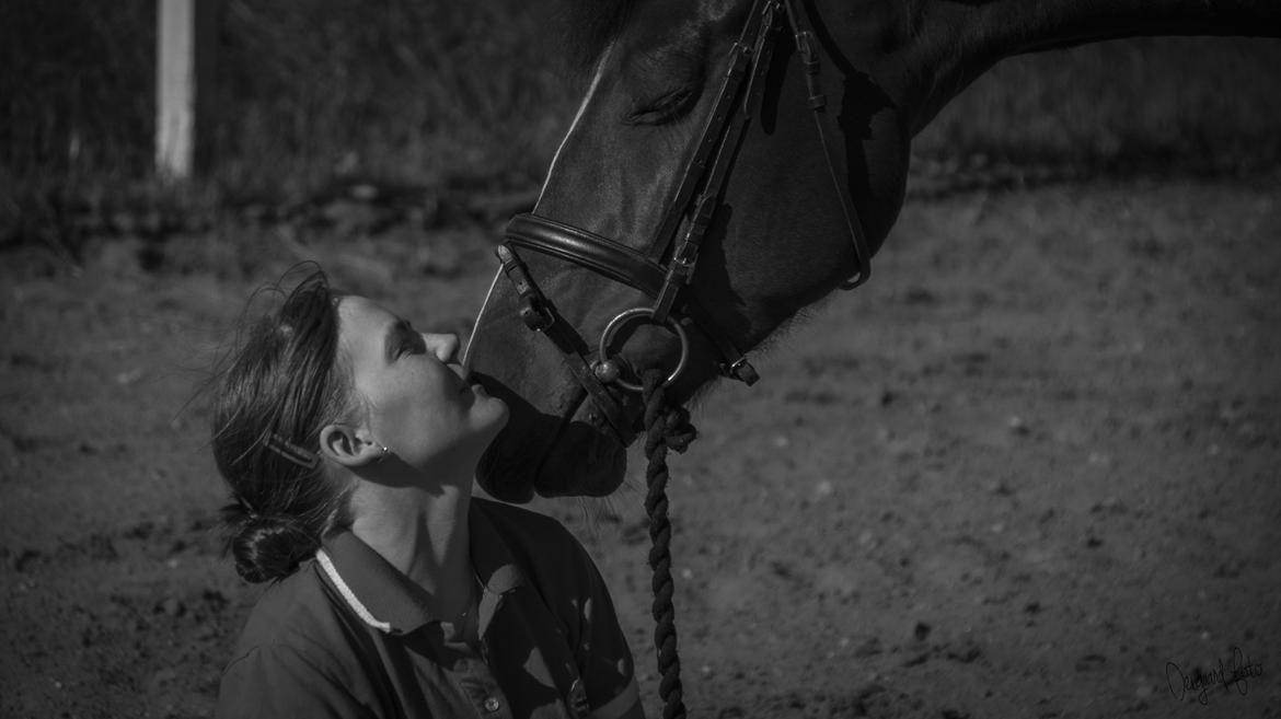 Anden særlig race Lakie billede 15