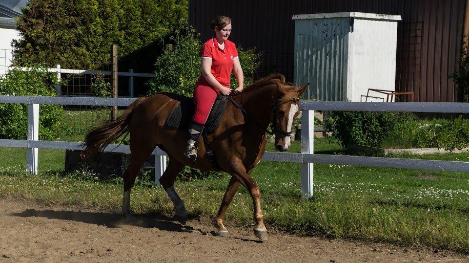 Anden særlig race Tessa billede 15