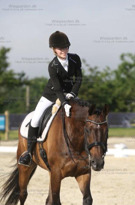 Trakehner M-speedy - Dygtig hest efter første landsstævne! d. 4/7 2015 billede 9