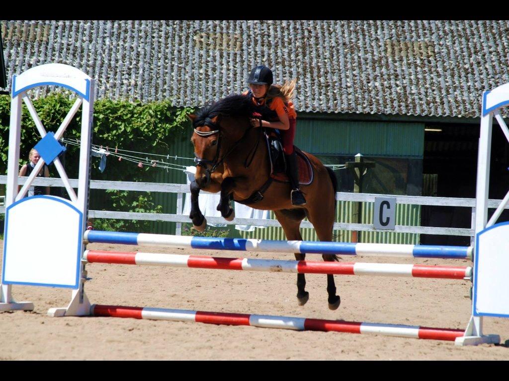 Anden særlig race Buster "Hvid Kvist" - Når noget er perfekt er det ikke fordi det er fejlfrit, men fordi man ikke ønsker det anderledes ❤️ billede 2