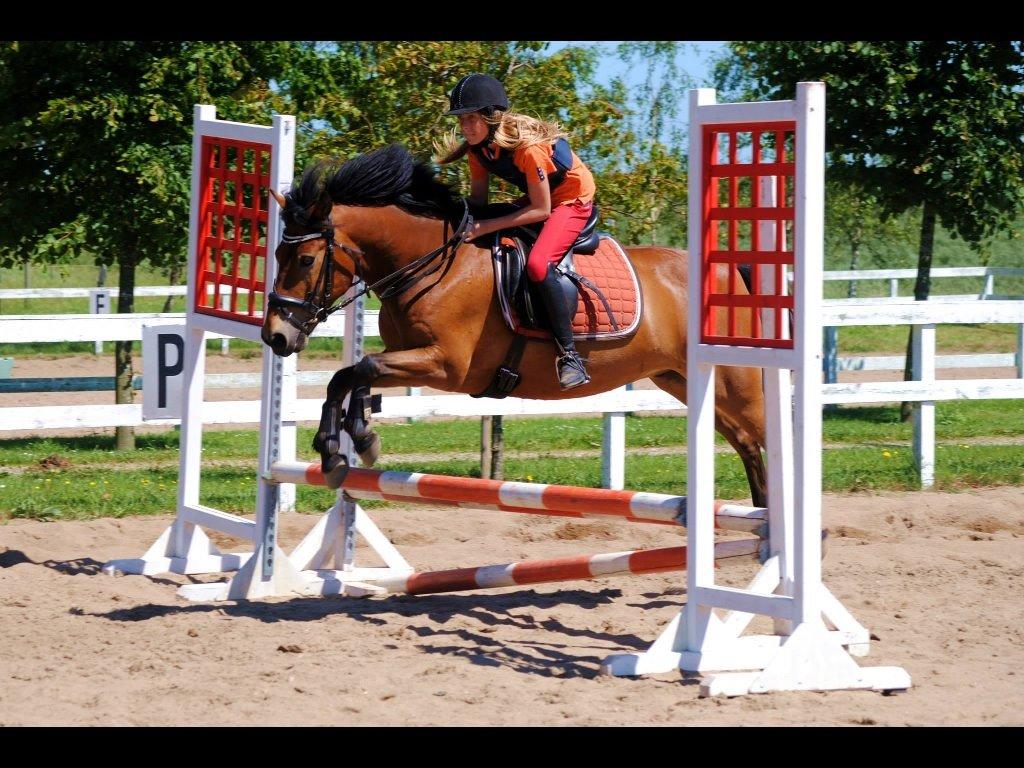 Anden særlig race Buster "Hvid Kvist" - Smuksakken igennem alt ❤️ billede 4
