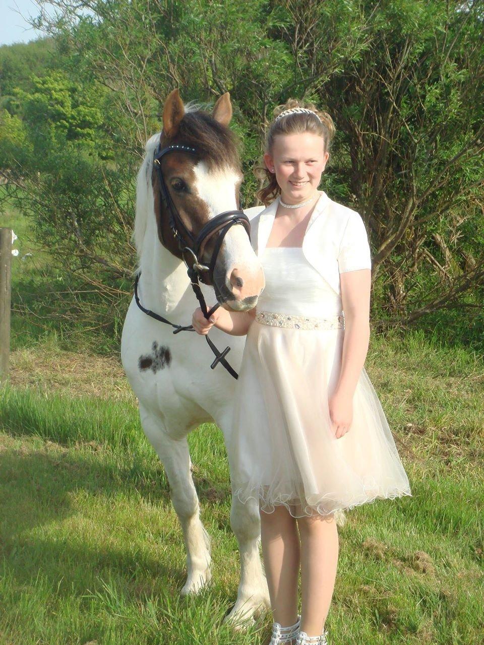 Anden særlig race Painters Pride - Painters Pride ogMig til min konfirmation billede 8