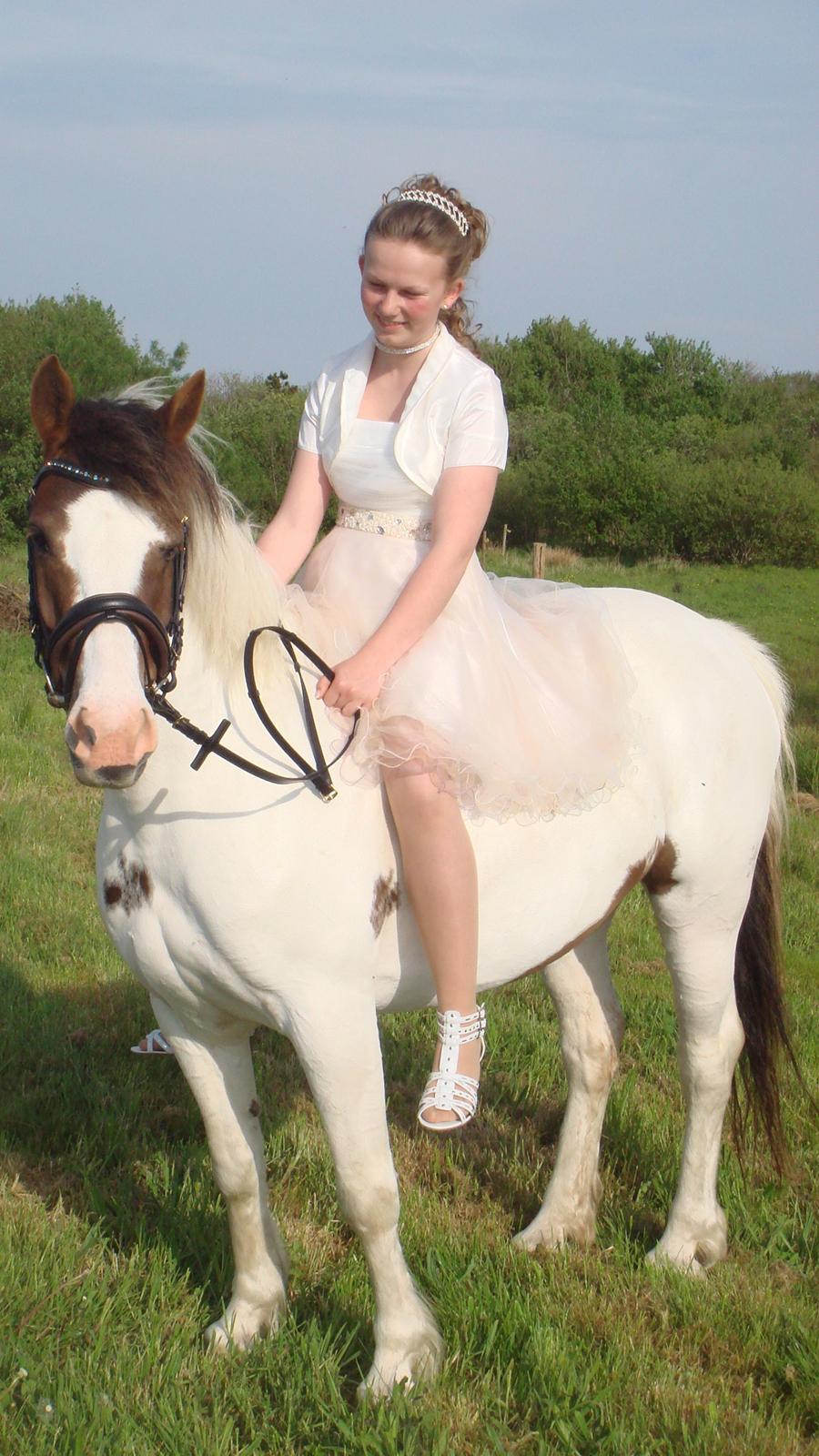 Anden særlig race Painters Pride - Painters Pride og mig til min Konfirmation billede 9