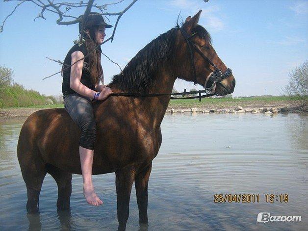 Anden særlig race Mistery Dancer (Misse)SOLGT billede 44